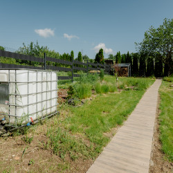 copko-00014-1.jpg